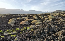 LA GOMERA-TENERIFE EN FERRY-MALPAÍS DE GÜÍMAR