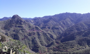 TENERIFE - LA GOMERA SOLIDAIRE EN SEMI-LIBERTÉ